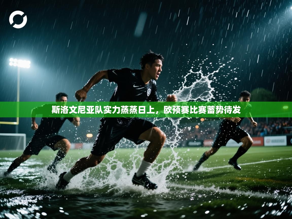 斯洛文尼亚队实力蒸蒸日上，欧预赛比赛蓄势待发  第1张