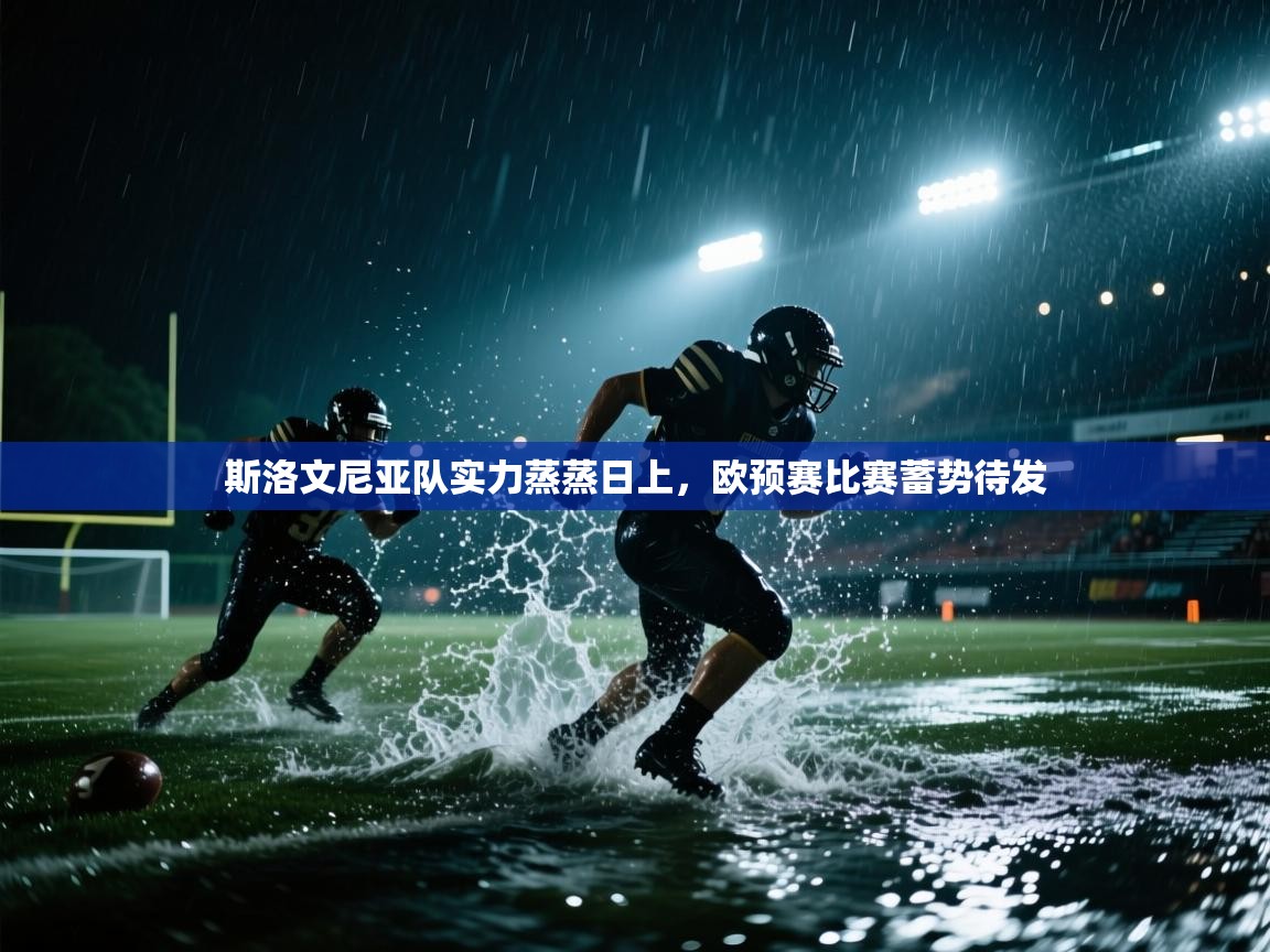 斯洛文尼亚队实力蒸蒸日上，欧预赛比赛蓄势待发  第2张