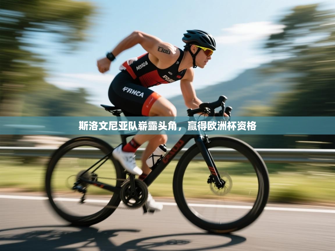 斯洛文尼亚队崭露头角，赢得欧洲杯资格  第2张