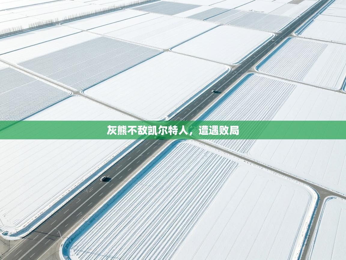 灰熊不敌凯尔特人，遭遇败局  第1张